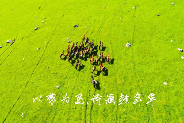 以梦为马，诗酒趁年华，壮游新疆那拉提