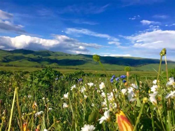 邂逅伊犁：喀拉峻、昭苏夏塔雪山草原梦幻之旅